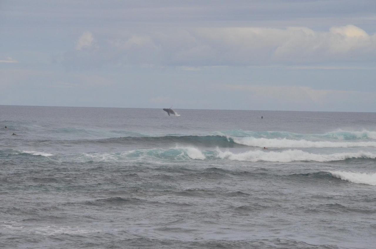 Mokule'Ia Beach Houses At Owen'S Retreat Waialua 外观 照片