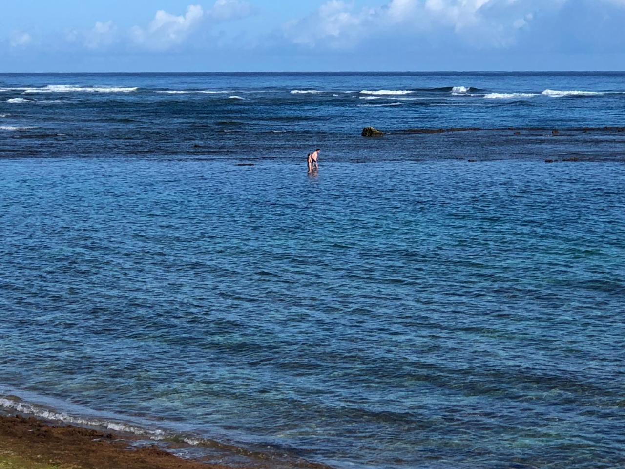 Mokule'Ia Beach Houses At Owen'S Retreat Waialua 外观 照片